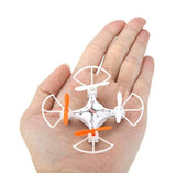 Mini Drone